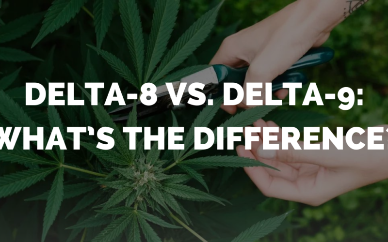 Delta-8 vs. Delta-9: What’s The Difference?