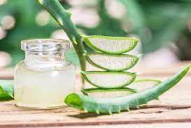 Top 5 Health Benefits Of Aloe Vera