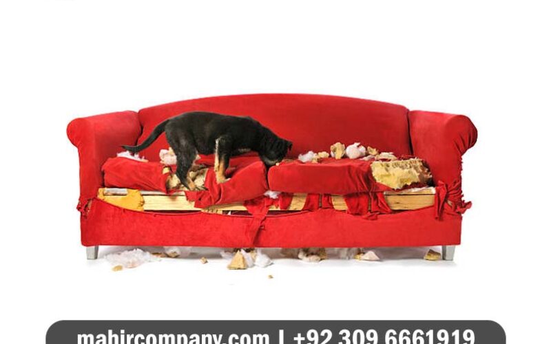 Do You Know You are Destroying Your Sofa?