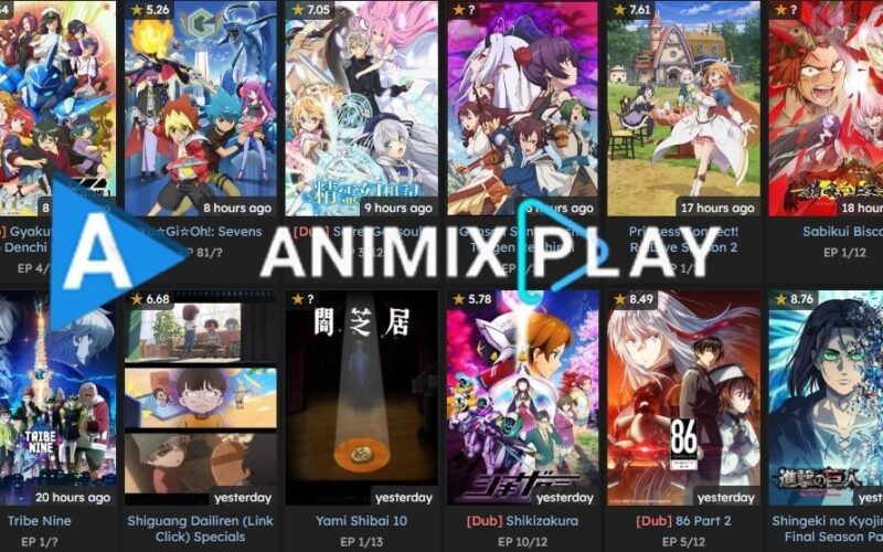 All that You Need To Know About AniMixPlay