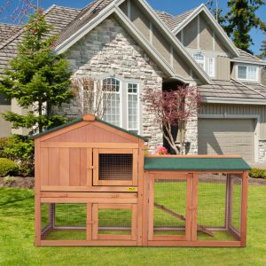 Ways To Modify The Rabbit Hutch To Make It More Comfortable