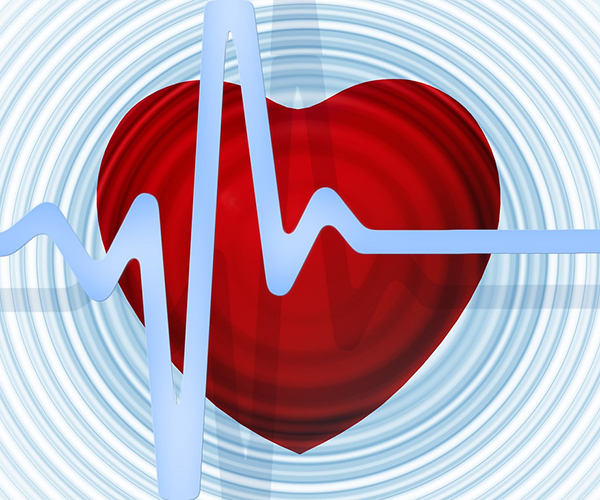 Heart Diseases